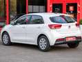 Kia Rio Edition 7 Weiß - thumbnail 7