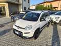 Fiat Panda Panda 1.3 mjt 16v 4x4 s Bianco - thumbnail 4