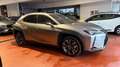 Lexus UX 250h 2.0 Premium 2wd cvt *PREZZO REALE* Grigio - thumbnail 4
