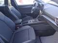 CUPRA Leon SP Kombi 1.5 eTSI DSG 150 PS Grau - thumbnail 15