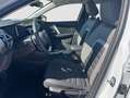 Citroen C4 1.2 HYBRID MHEV 145 EDCS6 BUSINESS EDIT 145 5P Blanco - thumbnail 9
