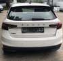 Skoda Fabia Fabia IV Active Klima EFH PDC Sitzheizung Bianco - thumbnail 6