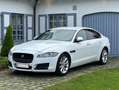 Jaguar XF 2.0 D E-Performance Business Edition Prestige - thumbnail 1