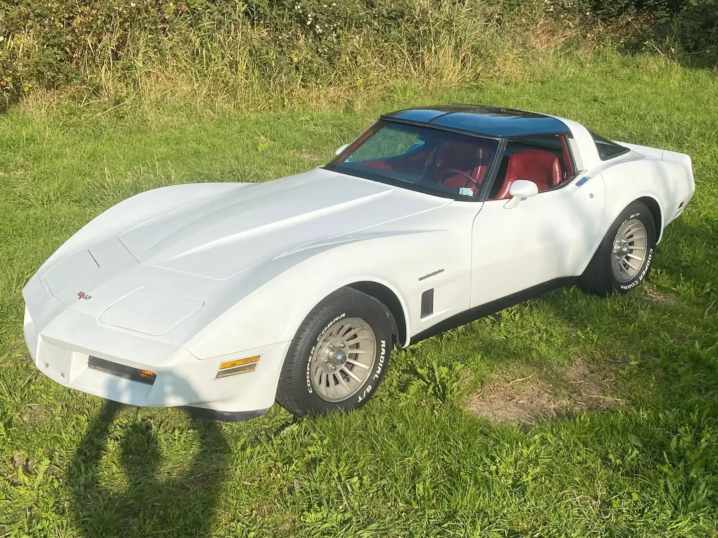 Corvette C3 sehr schöne C3 wenig Meilen und 2 Vorbesitzer Weiß - 1