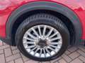 Fiat 500X 500 X 1.0 T3 Connect 120cv tetto apribile Rojo - thumbnail 27