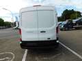 Ford Transit Kastenwagen 310 L3H2 Trend Weiß - thumbnail 6
