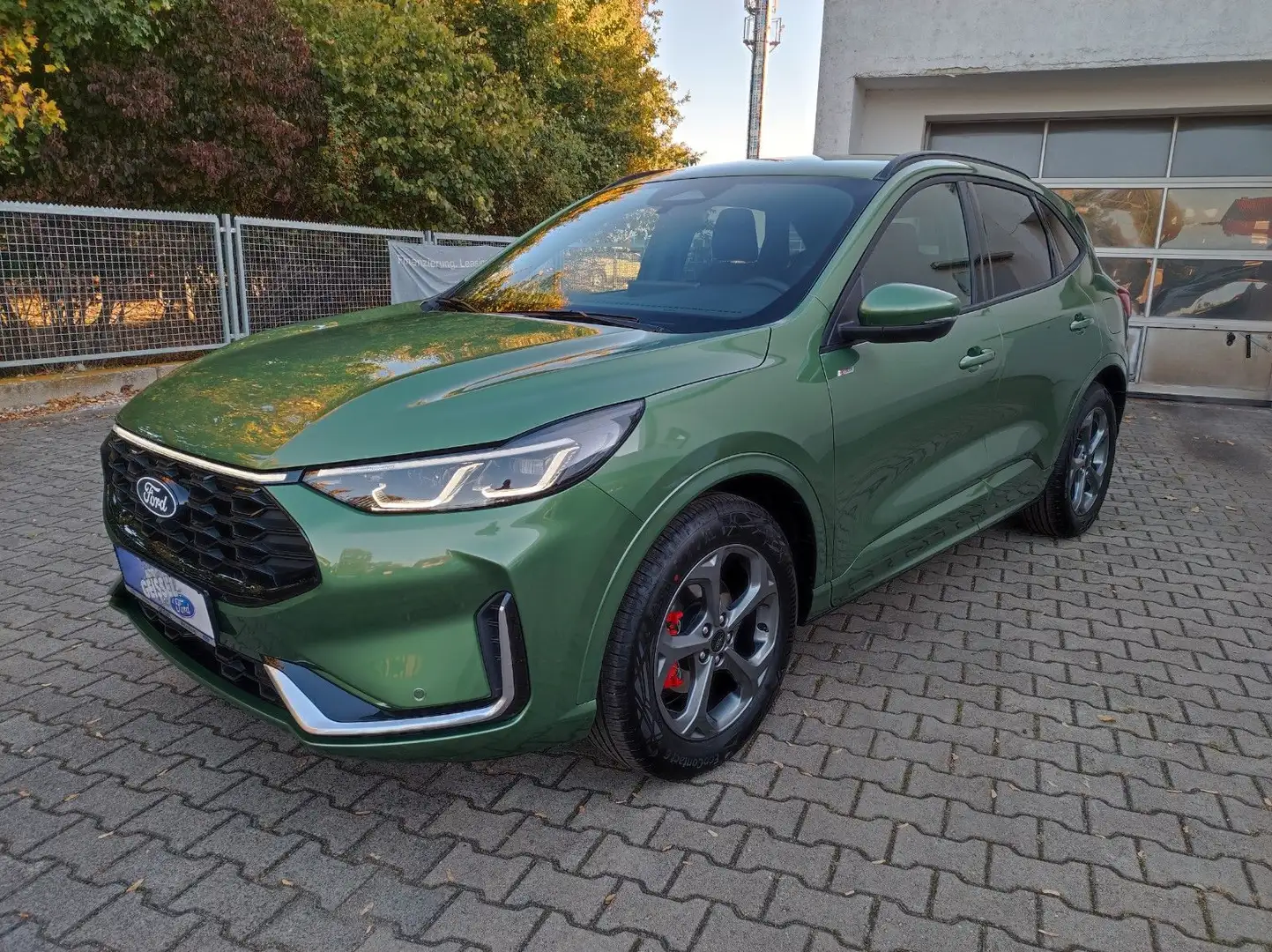 Ford Kuga ST-Line X,Matrix.KeyFree.Navi.Winter. Verde - 1