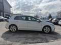 Volkswagen Golf 2.0 TDI 115 CV SCR Life Weiß - thumbnail 4