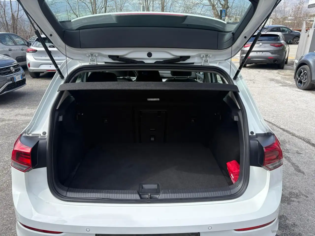 Volkswagen Golf 2.0 TDI 115 CV SCR Life 10