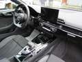 Audi S5 S5 Coupe 3.0 tdi mhev Sport Attitude quattro 347cv Blu/Azzurro - thumbnail 13