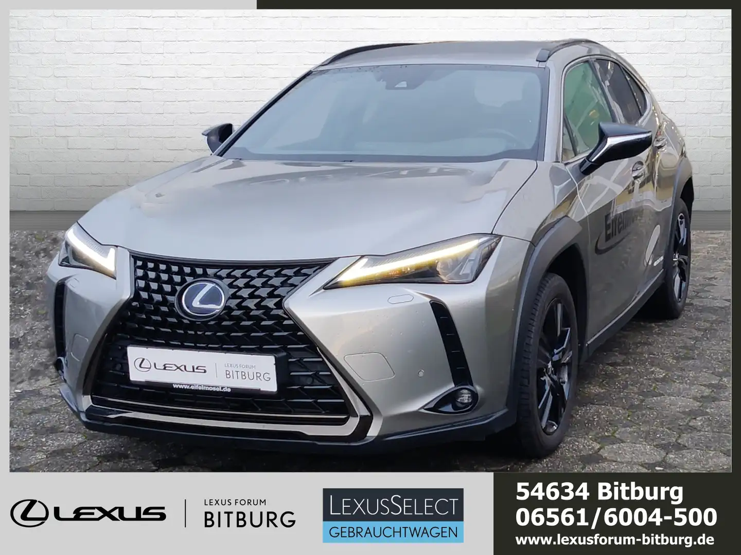 Lexus UX 250h Style+ Edition /LED/Kam./ACC/KeyLess/PDC Silver - 1