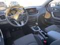 Kia Ceed / cee'd 1.5 T-GDI Klima|SHZ|Car-Play Bleu - thumbnail 4