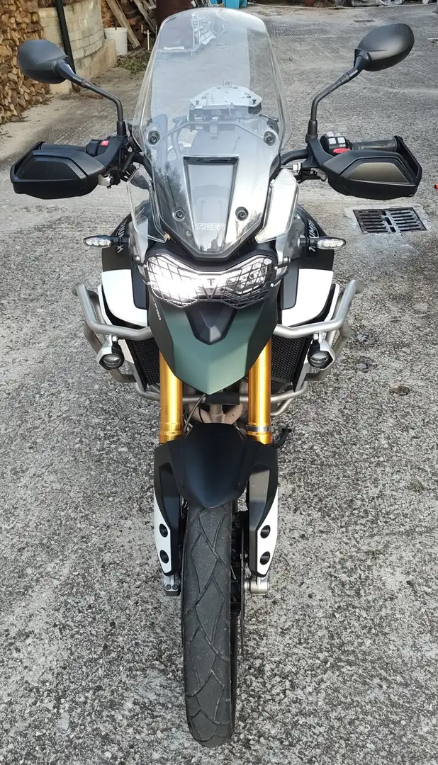 Triumph Tiger 900 Rally Pro Verde - 2