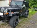 Jeep Wrangler YJ Noir - thumbnail 2