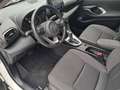 Toyota Yaris Yaris IV 2020 1.5h Business Bianco - thumbnail 11