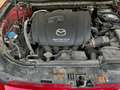 Mazda 3 SportSedan 2.0 Luxury 120 Rojo - thumbnail 15