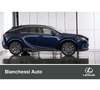 Lexus RX 350h 350h Premium Hybrid Executive - thumbnail 14