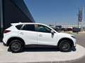 Mazda CX-5 G165 Challenge / NAVI / PDC / TEMPOMAT Weiß - thumbnail 3