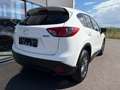 Mazda CX-5 G165 Challenge / NAVI / PDC / TEMPOMAT Weiß - thumbnail 4