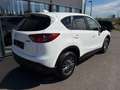 Mazda CX-5 G165 Challenge / NAVI / PDC / TEMPOMAT Weiß - thumbnail 5