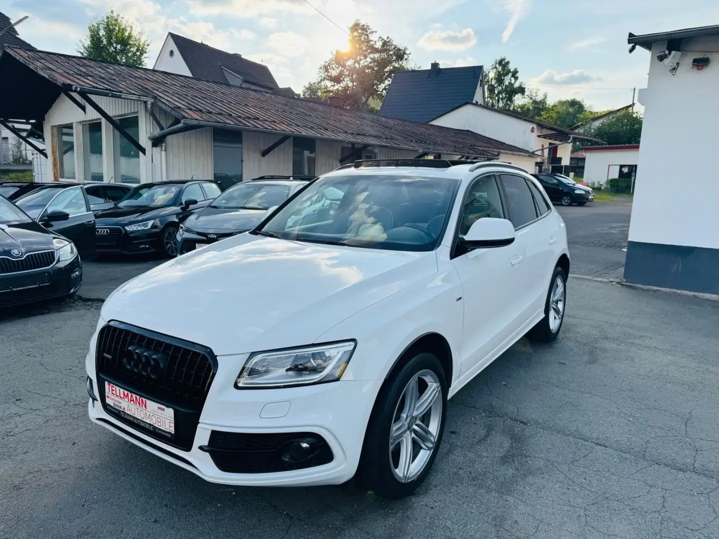 Audi Q5 2.0 TDI  quattro/Pano-Dach/AHK/Bi-Xenon/ Weiß - 1
