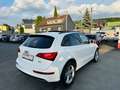 Audi Q5 2.0 TDI  quattro/Pano-Dach/AHK/Bi-Xenon/ Weiß - thumbnail 7