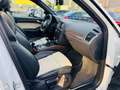 Audi Q5 2.0 TDI  quattro/Pano-Dach/AHK/Bi-Xenon/ Weiß - thumbnail 23
