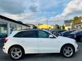 Audi Q5 2.0 TDI  quattro/Pano-Dach/AHK/Bi-Xenon/ Weiß - thumbnail 8