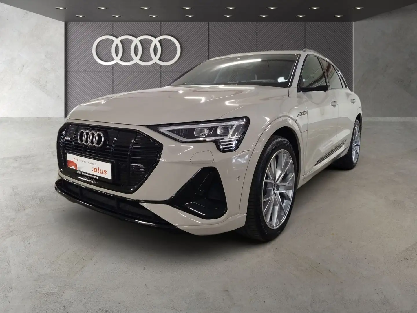 Audi e-tron 50 quattro S line MatrixLED Luft AHK Pano Blau - 1