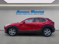 Mazda CX-30 Selection SKY.-G 122 Aut. M Hybrid HUD Navi LED AC Rot - thumbnail 2