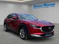 Mazda CX-30 Selection SKY.-G 122 Aut. M Hybrid HUD Navi LED AC Rot - thumbnail 7