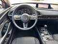 Mazda CX-30 Selection SKY.-G 122 Aut. M Hybrid HUD Navi LED AC Rot - thumbnail 12