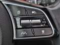 Kia Ceed SW / cee'd SW Sportswagon 1.6 GDI PHEV Plug-In ExecutiveLine Led Grijs - thumbnail 14
