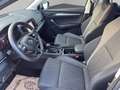 Skoda Karoq 2,0 TDI DSG Style LED CAM VIRTUAL KEYLESS PDC N... Grau - thumbnail 7