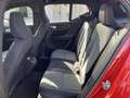 Volvo XC40 2.0 B3 G Plus Bright Auto Rojo - thumbnail 15