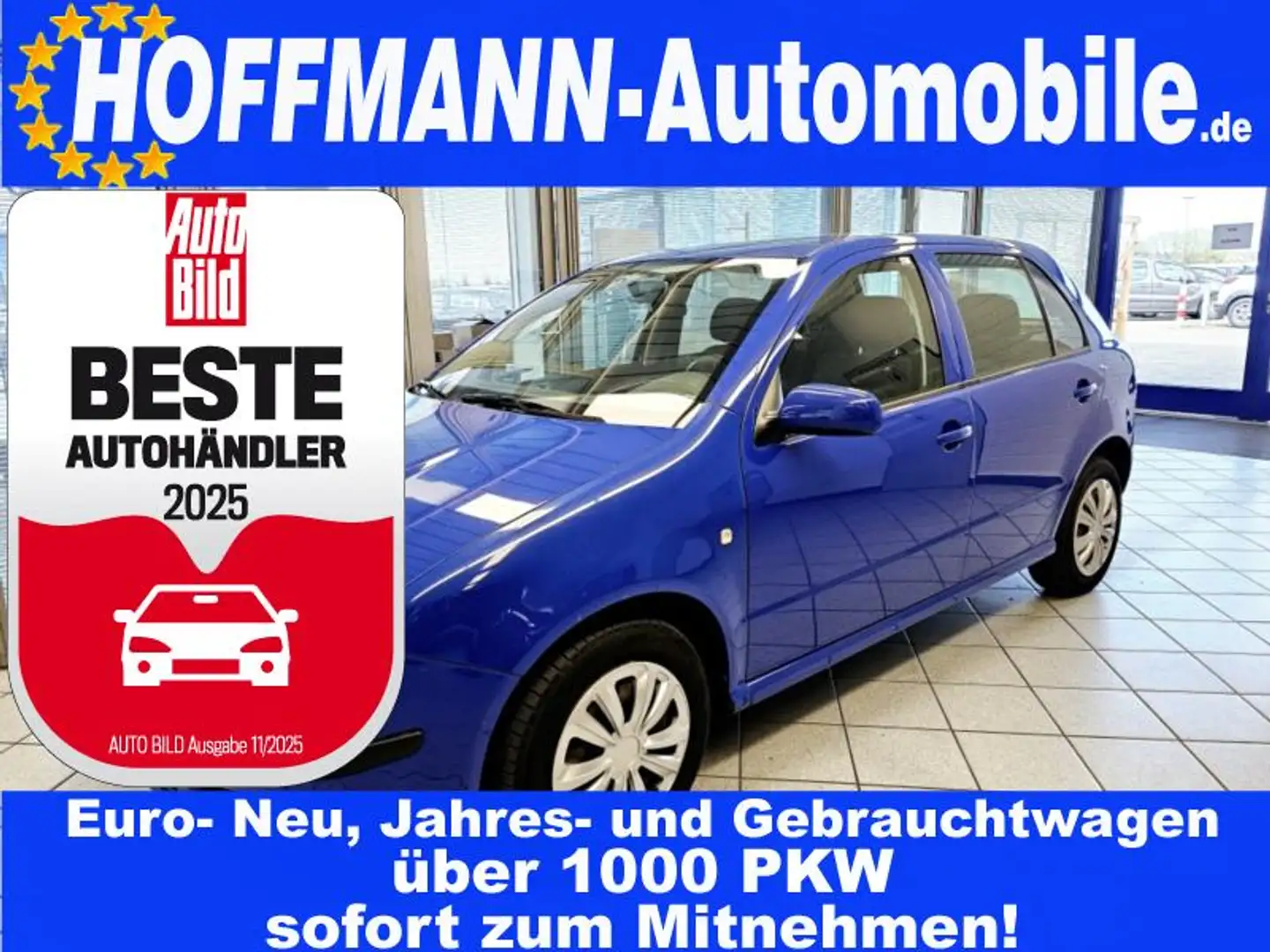 Skoda Fabia ohne TÜV Blauw - 1
