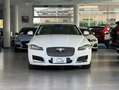 Jaguar XF 2.0 D 180 CV aut. Portfolio MOTORE NUOVO Weiß - thumbnail 2