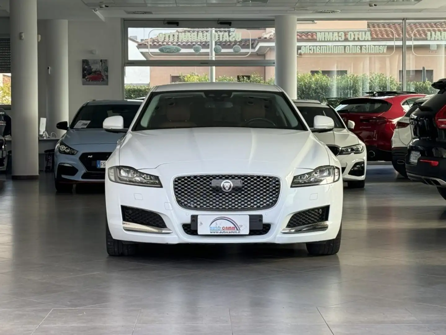 Jaguar XF 2.0 D 180 CV aut. Portfolio MOTORE NUOVO Weiß - 2