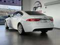 Jaguar XF 2.0 D 180 CV aut. Portfolio MOTORE NUOVO Weiß - thumbnail 5