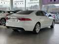 Jaguar XF 2.0 D 180 CV aut. Portfolio MOTORE NUOVO Weiß - thumbnail 6