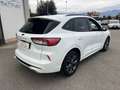 Ford Kuga 1.5 EcoBlue 120 CV 2WD ST-Line X Bianco - thumbnail 4