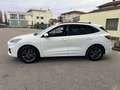 Ford Kuga 1.5 EcoBlue 120 CV 2WD ST-Line X Bianco - thumbnail 15