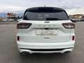 Ford Kuga 1.5 EcoBlue 120 CV 2WD ST-Line X Bianco - thumbnail 12