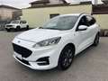 Ford Kuga 1.5 EcoBlue 120 CV 2WD ST-Line X Bianco - thumbnail 3