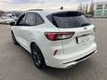 Ford Kuga 1.5 EcoBlue 120 CV 2WD ST-Line X Bianco - thumbnail 13