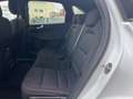 Ford Kuga 1.5 EcoBlue 120 CV 2WD ST-Line X Bianco - thumbnail 11