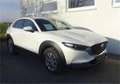 Mazda CX-30 G122 Comfort+/SO/ST Aut. Weiß - thumbnail 12