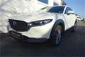 Mazda CX-30 G122 Comfort+/SO/ST Aut. Weiß - thumbnail 5