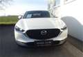 Mazda CX-30 G122 Comfort+/SO/ST Aut. Weiß - thumbnail 13