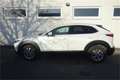 Mazda CX-30 G122 Comfort+/SO/ST Aut. Weiß - thumbnail 1